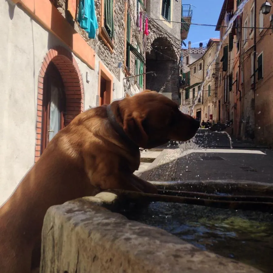 La Torre Bed & Breakfast Dolceacqua